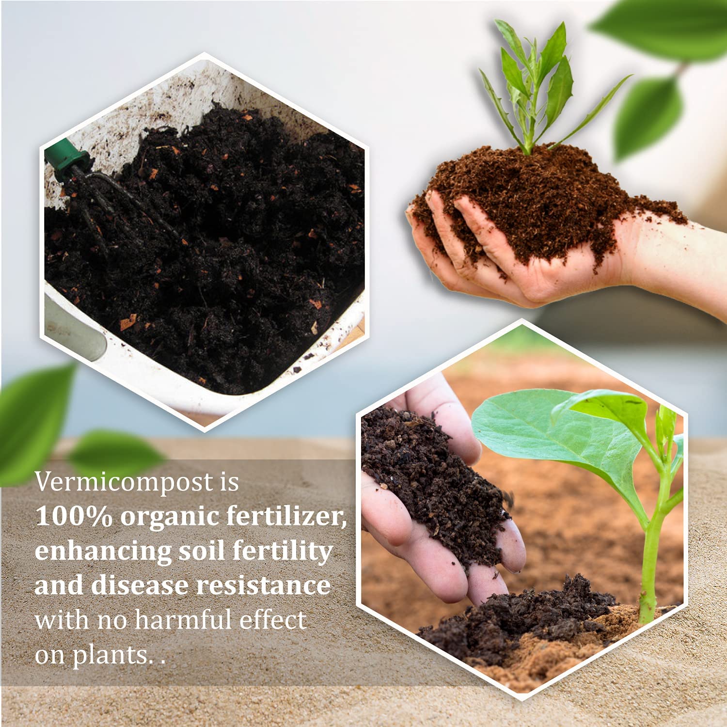 Organic Vermi Compost Pack of 1 Kg