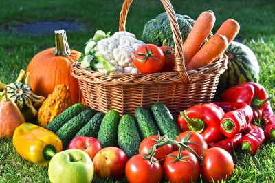 Pack for All season (90 varieties of Seeds)