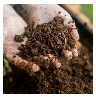 Organic Vermi Compost Pack of 1 Kg