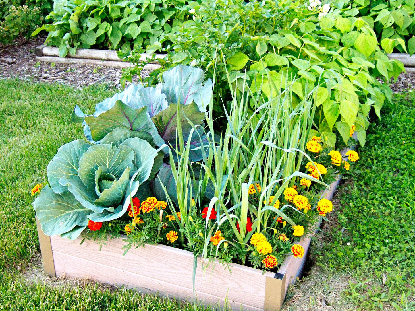 Pack for All season (90 varieties of Seeds)